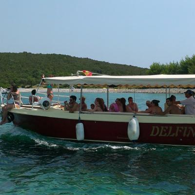 Delfin Boats 2